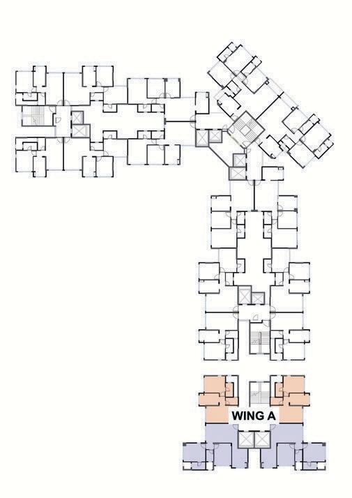 Project View